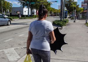 La sombrilla