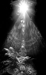 Light and shadow 9