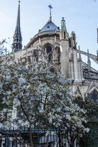 Notre Dame de Paris