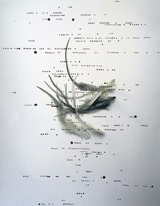 From the Series, Archetypal.  "Remnants of a Golden Phoenix."