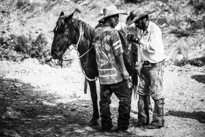 © Francisco Alcala Torreslanda
