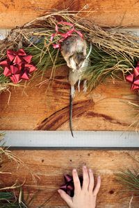 Rat Wreath, 2011  © Kurt Simonson