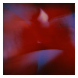 Twilight | Secret Life of Plants XIIX