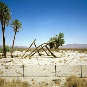 Palms at Desert Center  © David Paul Bayles