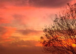 Ditchling sky 5