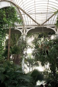 Palm House, Kew Royal Botanic Gardens, Richmond, Surrey, U.K. 2013 © Mireille Schellhorn