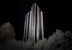 Radisson 1