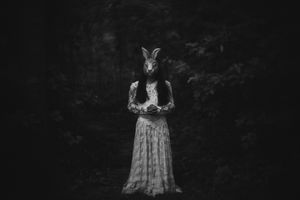 Little Moon Rabbit
