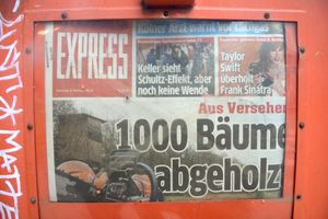 "KÖLNER KRANKHEIT" "COLOGNE GREEN CITY SICKNESS" "1000 Trees cut down by mistake"