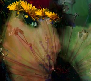 Season of Flowers 7