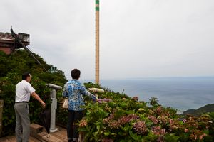 ‘Reclaimed by Nature or Man’ ,The lookout point emerged in hydrangea shrubs of pinks and blue