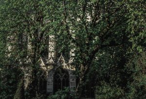 Notre Dame de Paris