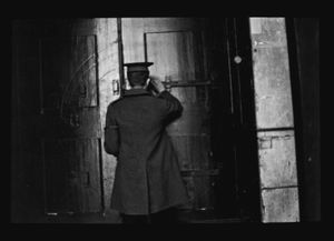 Untitled (Guard Whitehall), 2013