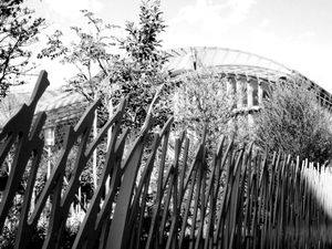 Halles_4