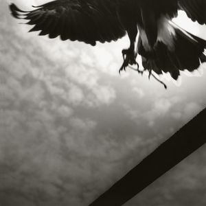 Broken Shadow #30