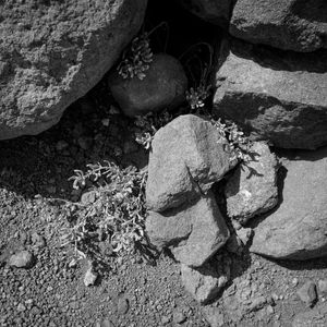 Untitled, Aruba, 5 30 21, Photo by Joe Bruha