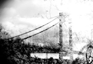 Manhattan Bridge from Where the Green seeps into the Concrete series