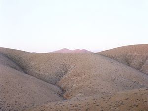 © Luca Tombolini