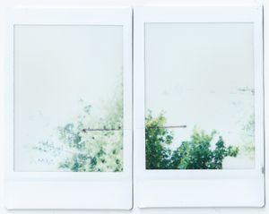 Split View