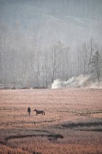 That man has a horse