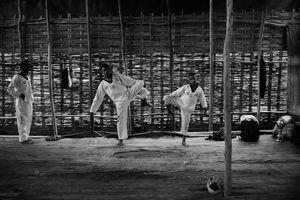Dojo III
