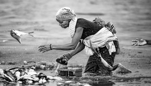 The wash of the fish II