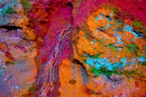 ROOTS BIRTH