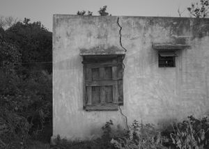 the house