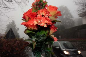 Fiori recisi