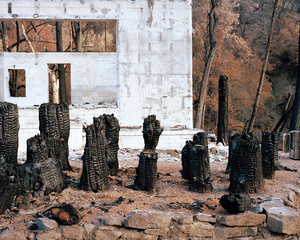 Stumps