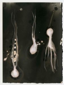 Series I  _  The beginning