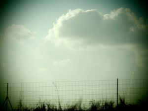 33: view