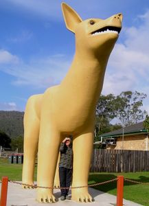 The Golden Dog
