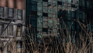 Urban Nature VII