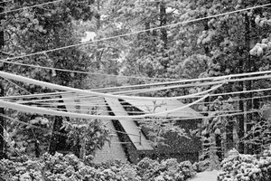 Powerlines In Snow
