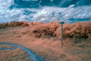 Road to Nowhere