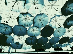 Umbrella Sky Project 2