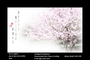 " Looking for fragrances" from the research "Haiku" © Roberto Spotti