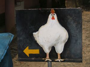 Arrow/chicken-2, between Thekkady and Kochi, Kerala, 2010.