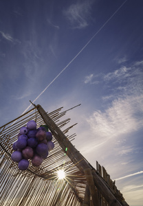 Afrikaburn Festival. South Africa.