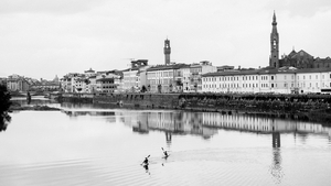 ARNO