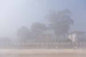 Fog 7