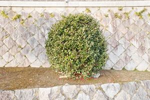 見えるひとは見える　People who can see can see