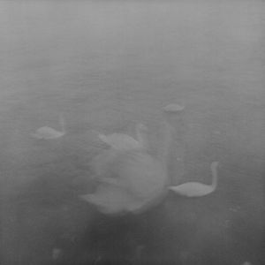 Sentimental Journey IX