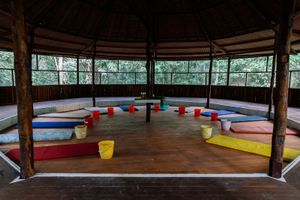 Ayahuasca induces puking, which is seen by the shamans as "letting go".