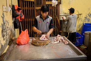 Chicken Butcher