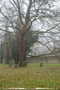 Old graves