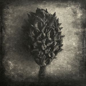 seed© Gary