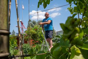 Trellis
