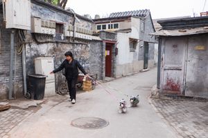 Beijing – Quiet Everyday Street Life